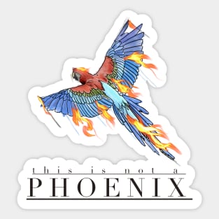 Amazon parrot Sticker